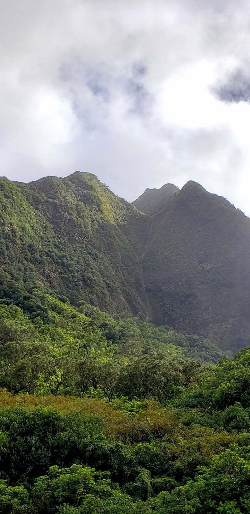 Maui Mountains, green, hawaii, mountain, nature, outdoor, HD phone wallpaper