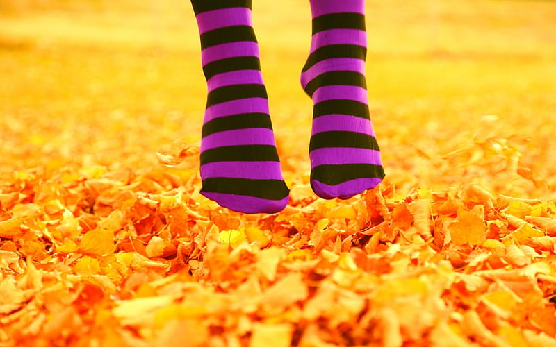 October Love, fall, autumn, striped, socks, yellow, seasons, graphy, leaves, care, golden, abstract, cute, seasonal, 3d, purple, nature, october, HD wallpaper