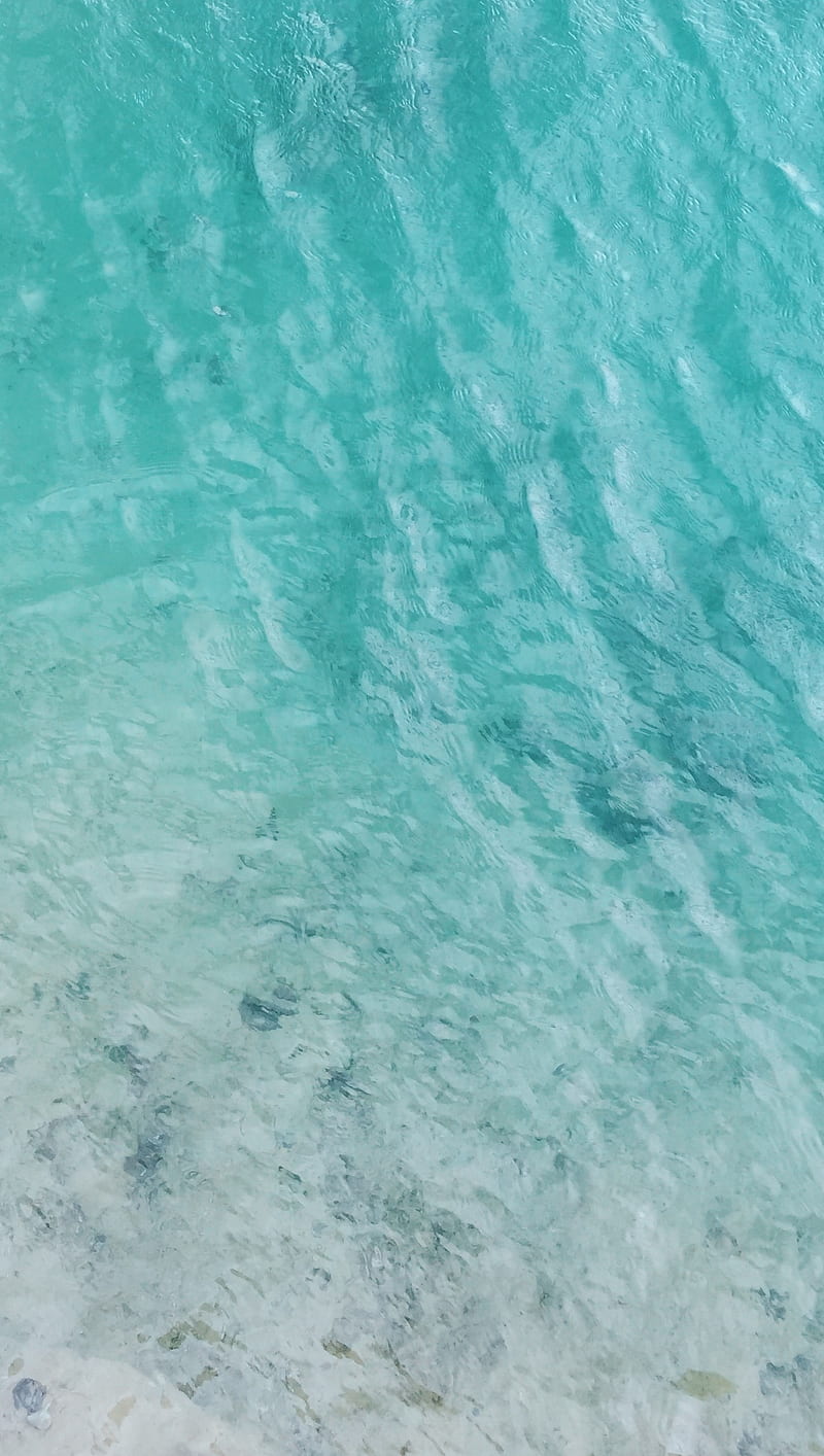 Clear Water, calm, green, lake, mint, HD phone wallpaper