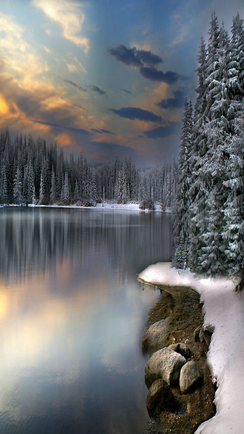 Winter, beauty, HD phone wallpaper