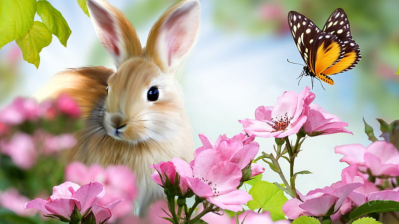 Bunny & Butterfly, rabbit, pink flowers, spring, Easter, butterfly, summer, blossoms, bunny, Firefox Persona theme, HD wallpaper