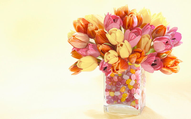 Beautiful Tulips, red, colorful, orange, yellow, vase, bonito, flowers, nature, tulips, pink, tulip, HD wallpaper