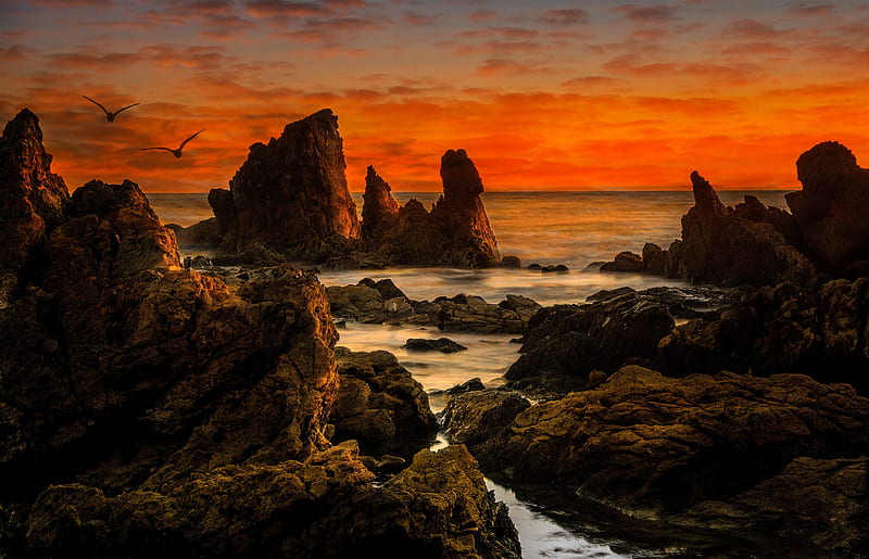 Earth, Landscape, Bird, California, Ocean, Rock, Sunset, USA, HD wallpaper