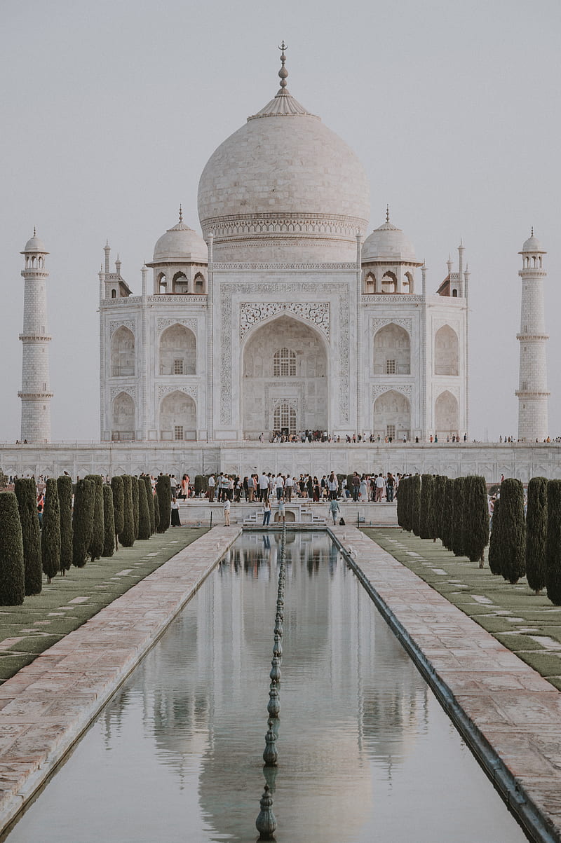 People gathering in Taj Mahal at India during daytime, HD phone wallpaper |  Peakpx