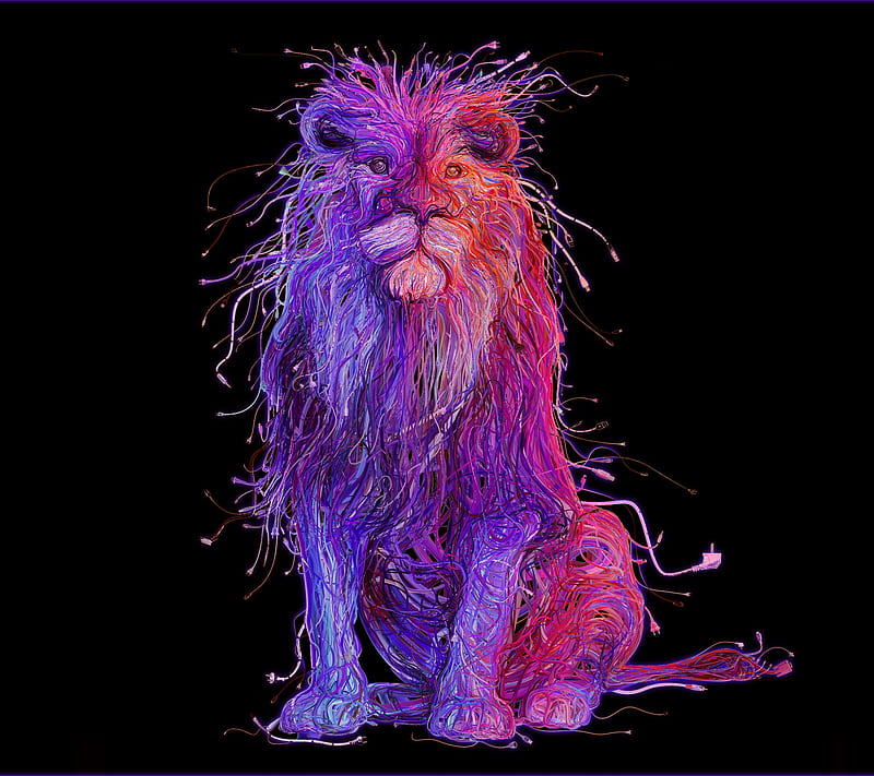 Lion, art, leo, purple, HD wallpaper