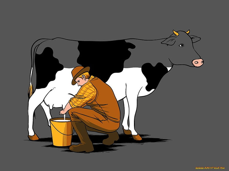 Milk :), joke, milk, cow, animal, HD wallpaper
