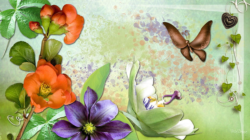 Natural Beauty, splatters, white flowers, orange, firefox persona, butterfly, green, puprle, heart, ivy, HD wallpaper