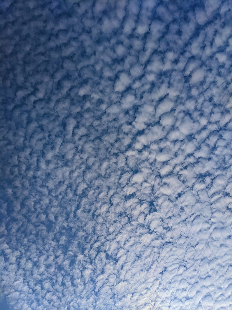 cirrus clouds, sky, clouds, HD phone wallpaper