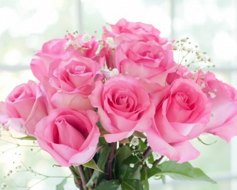 Pink Roses, flowers, roses, bloom, pink, HD wallpaper | Peakpx