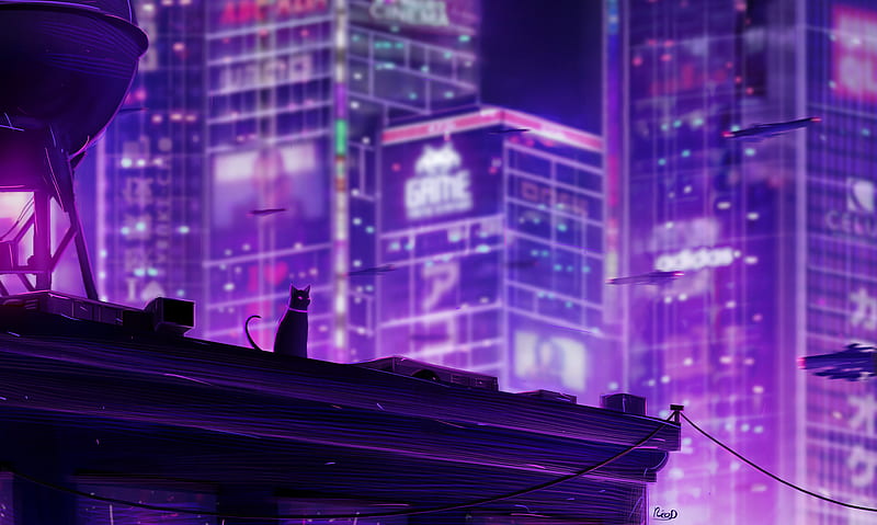 cat, roof, city, future, neon, backlight, HD wallpaper