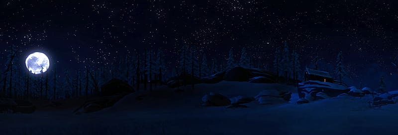 Winter, Stars, Night, Moon, Snow, Wood, Forest, Cabin, Video Game, The Long Dark, HD wallpaper
