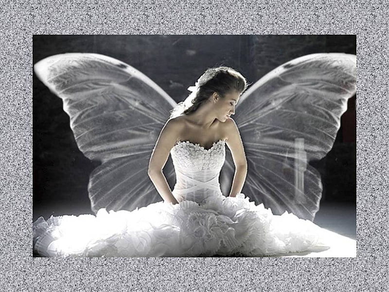 Novia ángel, alas, vestido, encaje, novia, enmarcado, blanco, con alas,  Fondo de pantalla HD | Peakpx