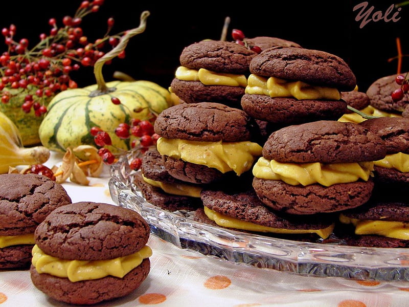 Chocolate Biscuits, cookies, autumn, delicious, food, chocolate, biscuits, dessert, HD wallpaper
