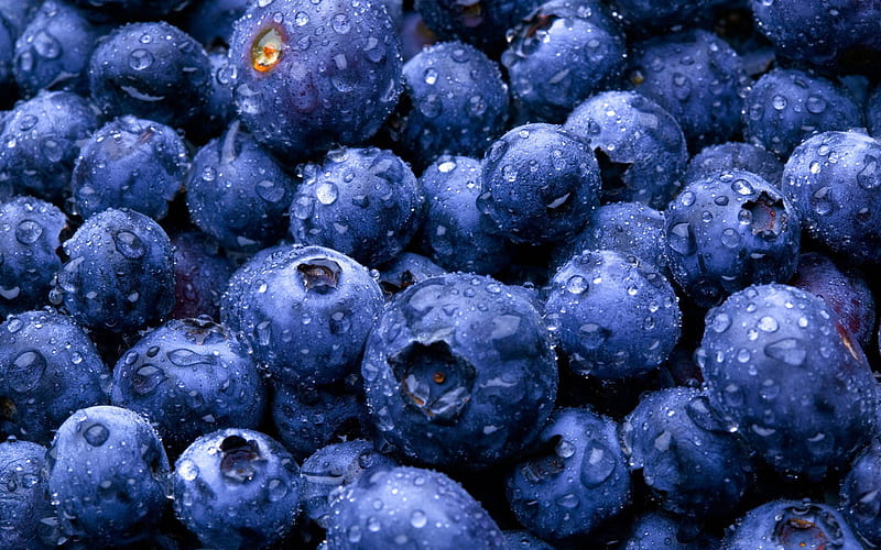 Moist Blue Berries, Blueberries, HD wallpaper
