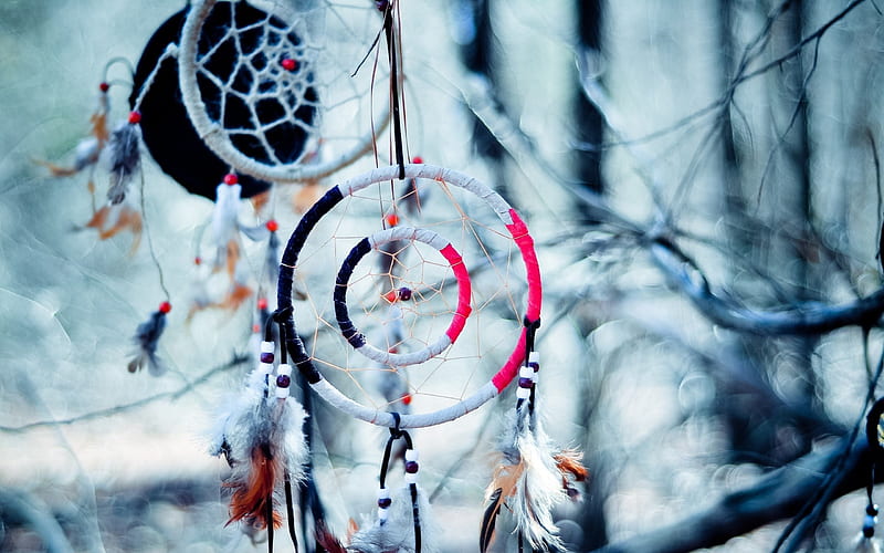 Dream Catcher, graphy, snow, depth of field, seasons, coldly, HD wallpaper