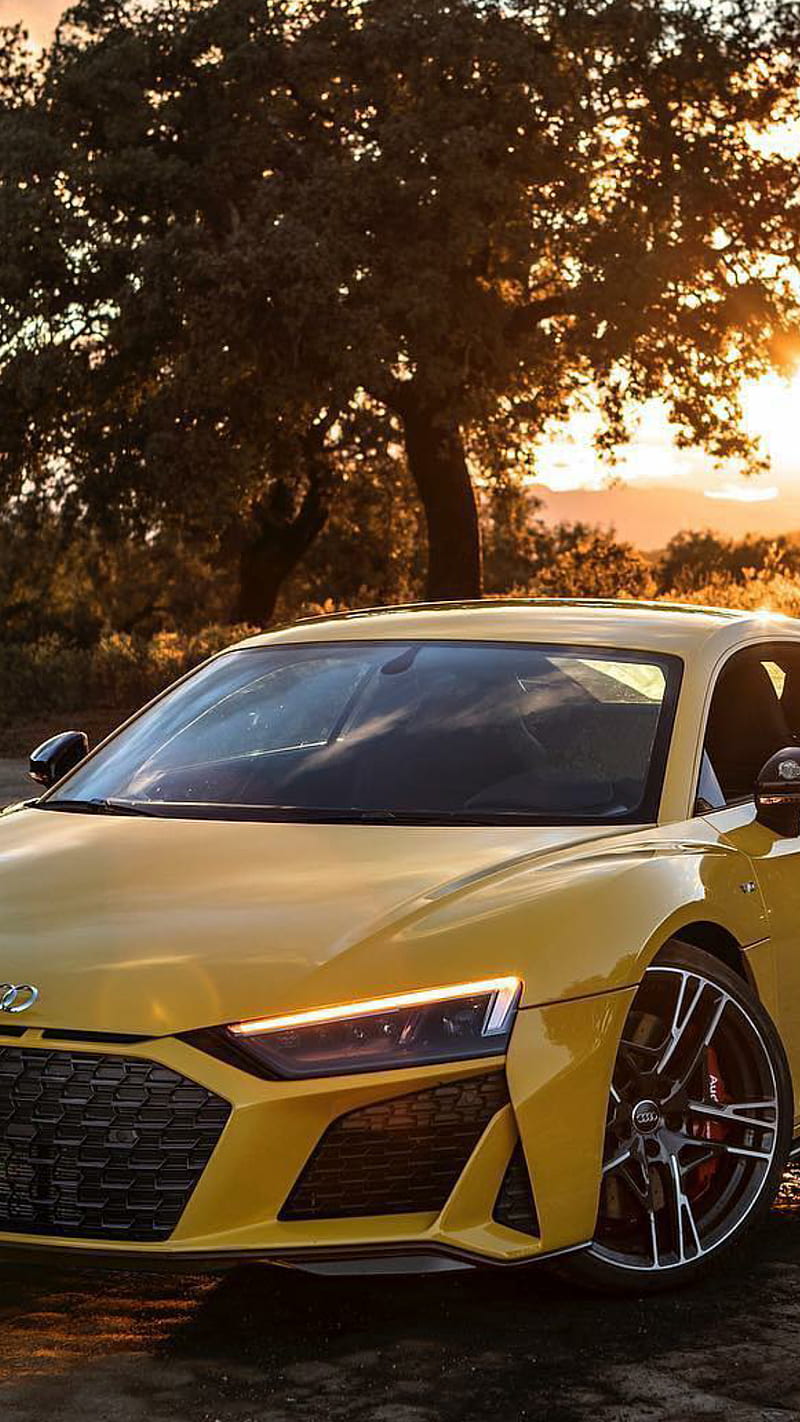 Audi R8 2019, audi, r8, yellow, car, supercar sports, america, new, sunset, HD phone wallpaper