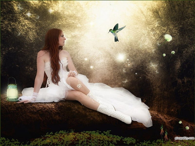 .Beautiful White Angel., fantasy girls, boots, bonito, magic, woman, angels, fantasy, forests, girls, animals, lamp, wings, lovely, colors, love four seasons, birds, creative pre-made, weird things people wear, lady, HD wallpaper