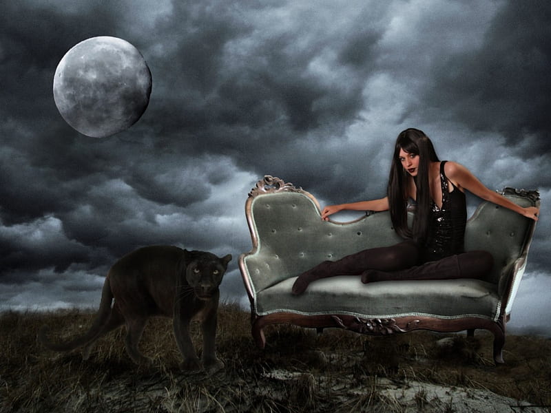 BLACK CAT, moon, female, black, cat, clouds, sky, stormy, HD wallpaper ...