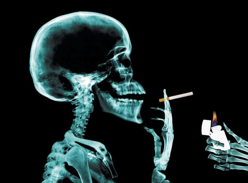 smoking skeleton, wonderful creation, funny, HD wallpaper
