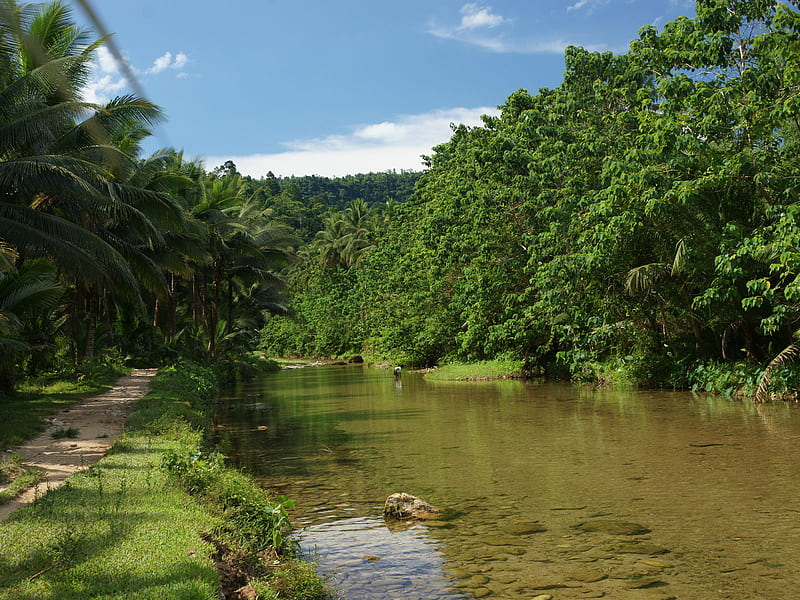 Jungle Nature, pathway, jungle, river, man, trees, HD wallpaper
