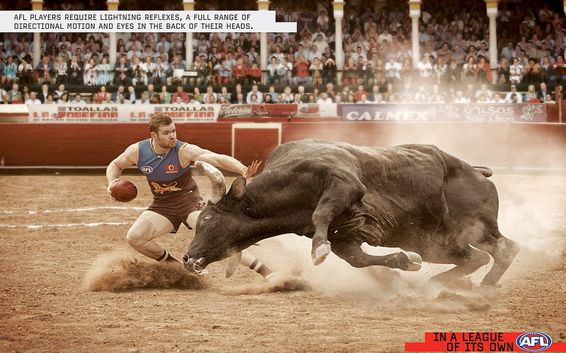 The thrill of bullfighting - extreme sports, HD wallpaper