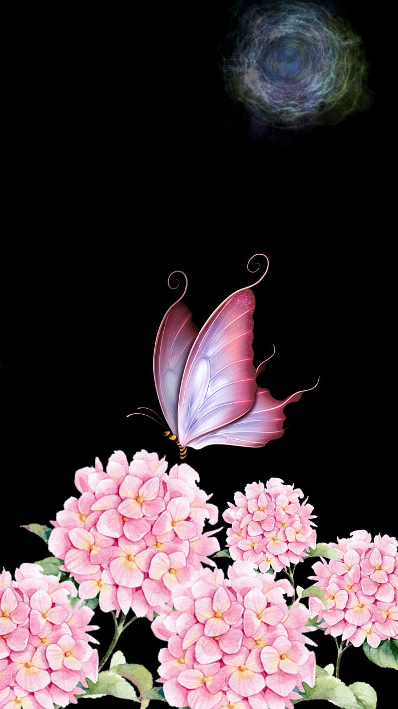 Pink butterfly, hydrangia, flower, plant, insect, black, bright, cheery, HD phone wallpaper