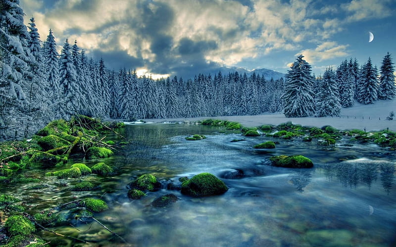 winter rive, forest, cool, nature, river, fun, HD wallpaper