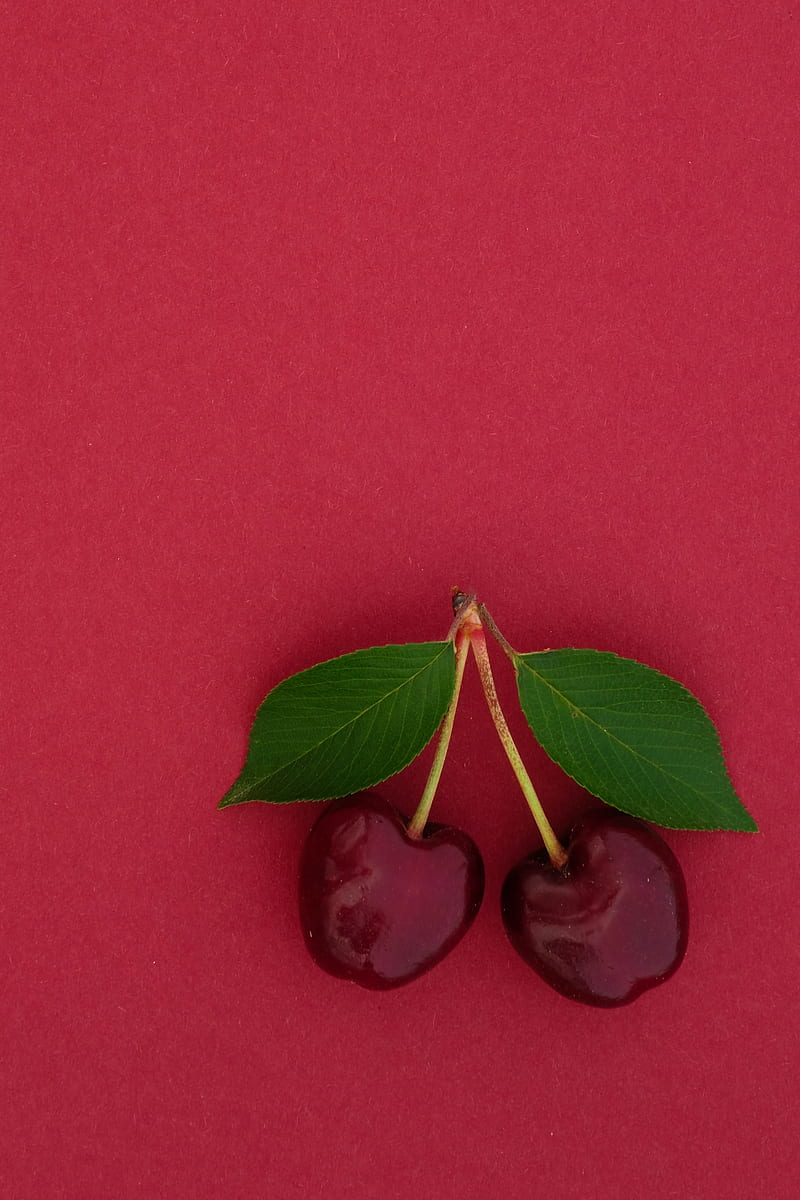 sweet cherry, cherry, berry, leaves, HD phone wallpaper