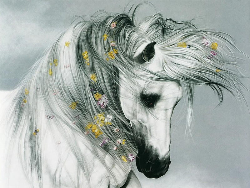 beautiful dream, art, black, horse, stallion, wild, flowers, beauty, white, eyes, HD wallpaper