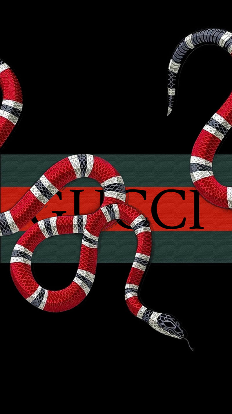 Gucci Snake Wallpapers  Top Free Gucci Snake Backgrounds  WallpaperAccess