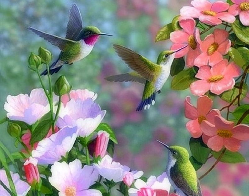 Garden Visitors, hummingbirds, colors, love four seasons, birds, spring, cute, summer, flowers, animals, HD wallpaper