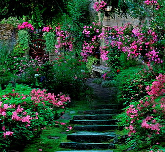 ايموجي مناظر طبيعية  HD-wallpaper-dream-garden-expression-new-color-thumbnail