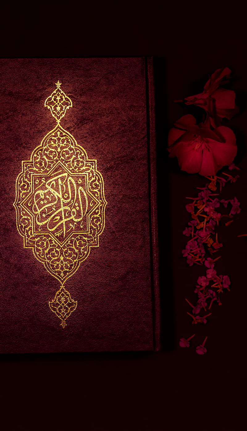 Islam Muslim Life bonito iphone islamic motivation motivational  quote HD phone wallpaper  Peakpx