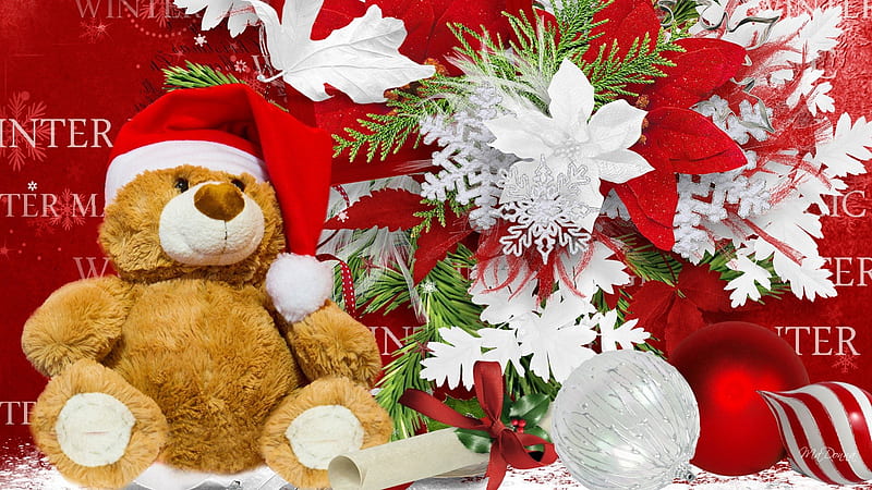 Winter Holiday, red, stars, feliz navidad, christmas, scrolls, ribbons, bows, poinsettias, balls, snowflakes, flowers, white, teddy bear, HD wallpaper