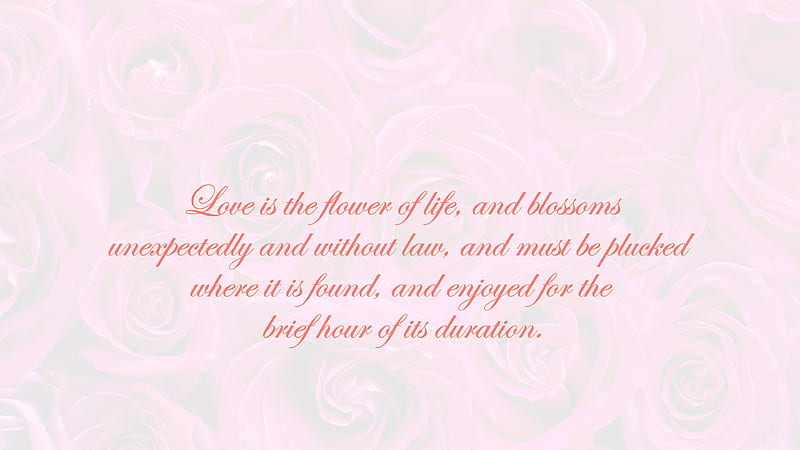 Love Is The Flower Of Life And Blossoms Unexpectedly And Without Law Love Quotes, HD wallpaper