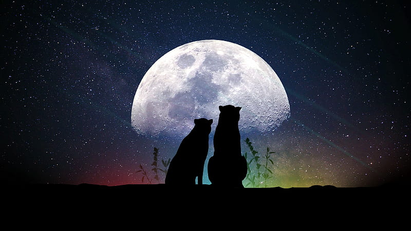 :), leopard, luminos, moon, black, creative, silhouette, panther, eli grek, fantasy, moon, vara, summer, couple, night, HD wallpaper