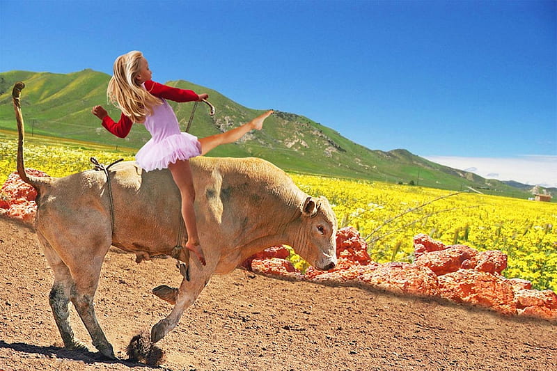 Really A Cowgirl Flowers Bull Girl Landscape HD Wallpaper Peakpx