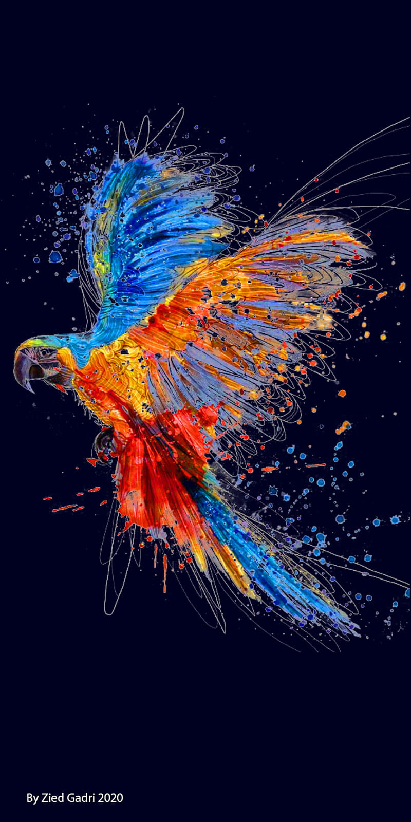 Parrot, color, colors, desenho, designs, explosion, fish, paper, papers, wall, HD phone wallpaper