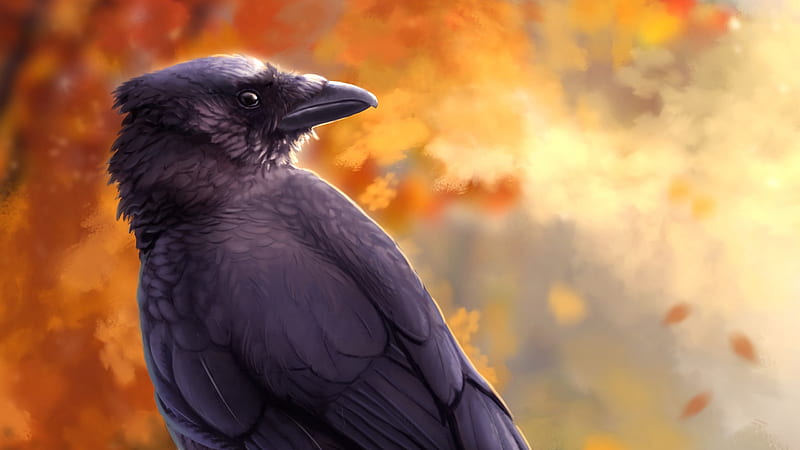 Raven, alyssa veysey, autumn, fantasy, orange, bird, pasari, black, HD wallpaper