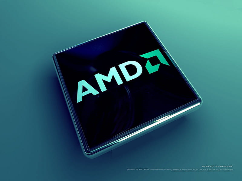 AMD, logo, technology, company, blue, HD wallpaper