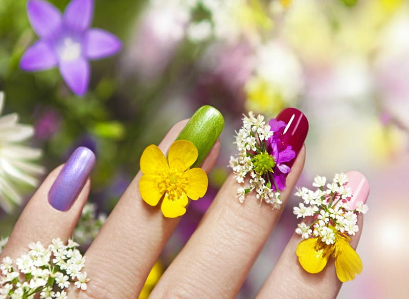❤, Flowers, Hand, Nail, Fingers, HD wallpaper
