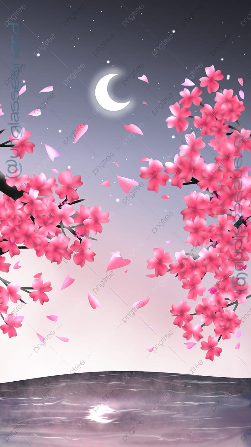 Sakura At Night Background, Cherry Blossom, , Night Background for, HD phone wallpaper