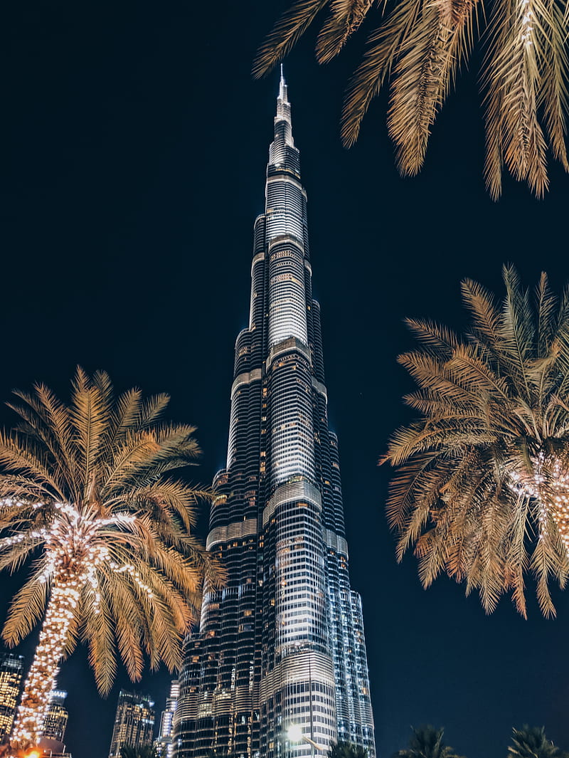 tower, building, skyscraper, architecture, palm trees, HD phone wallpaper