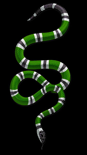 HD poisonous snakes wallpapers | Peakpx