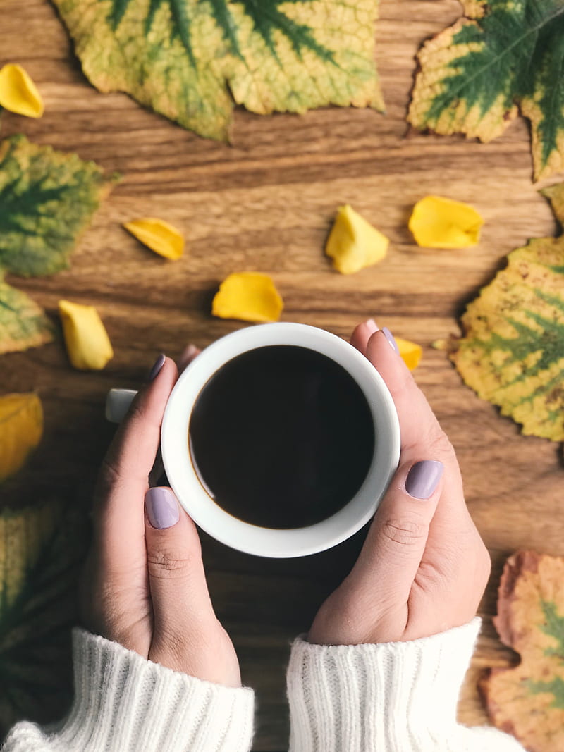 coffee, cup, hands, leaves, HD phone wallpaper