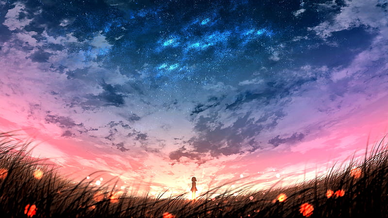 anime landscape, sunset, plants, field, sky, anime girl, scenic, Anime, HD wallpaper