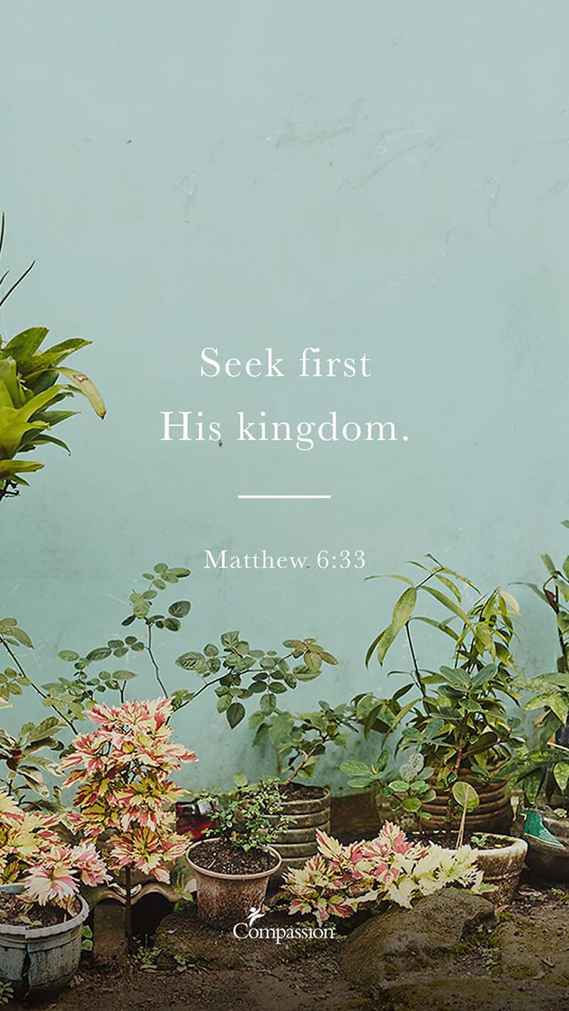 Seek his kingdom, blossom, christian, christian , cute christian, his kingdom, inspiration, luvujesus, spring, HD phone wallpaper