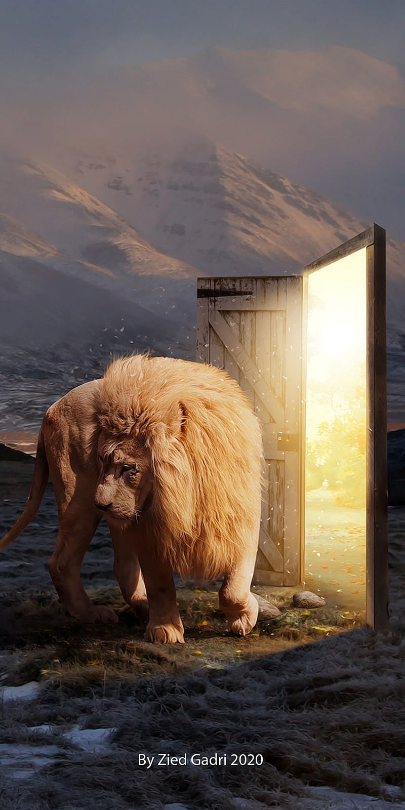 magic door, bears, grizzly, king, lion, narnia, puppy, queen, white, HD phone wallpaper