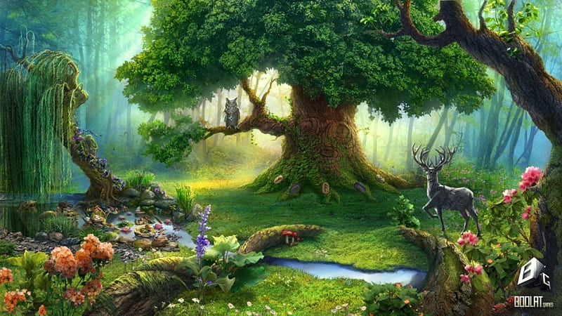 Tree of Fantasy, forest, tree, fantasy, life, wild, HD wallpaper