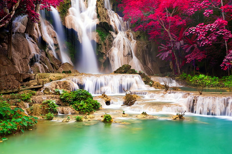 Forest water cascades, trees, forest, rocks, pond, cascades, paradise, waterfall, HD wallpaper